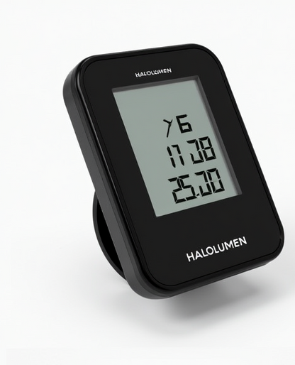 Rayzen 2 Cycle Computer