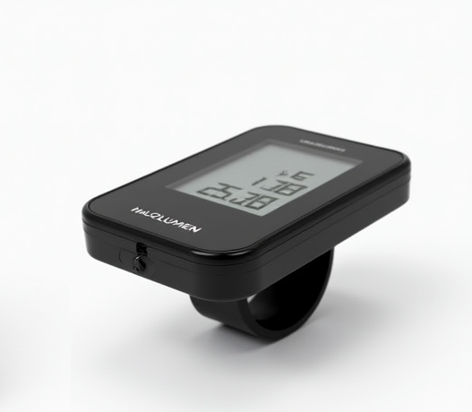 Rayzen 2 Cycle Computer