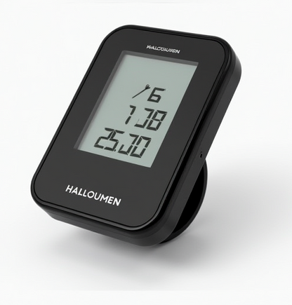 Rayzen 2 Cycle Computer